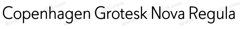 Copenhagen Grotesk Nova Regular字体转换